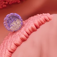 Elsőként rögzítették élőben videón, hogyan ágyazódik be egy emberi embrió