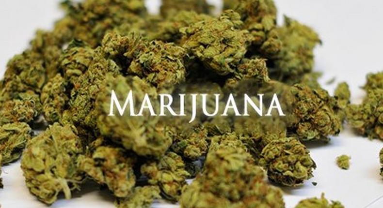 Marijuana industry records almost $1 billion in sales