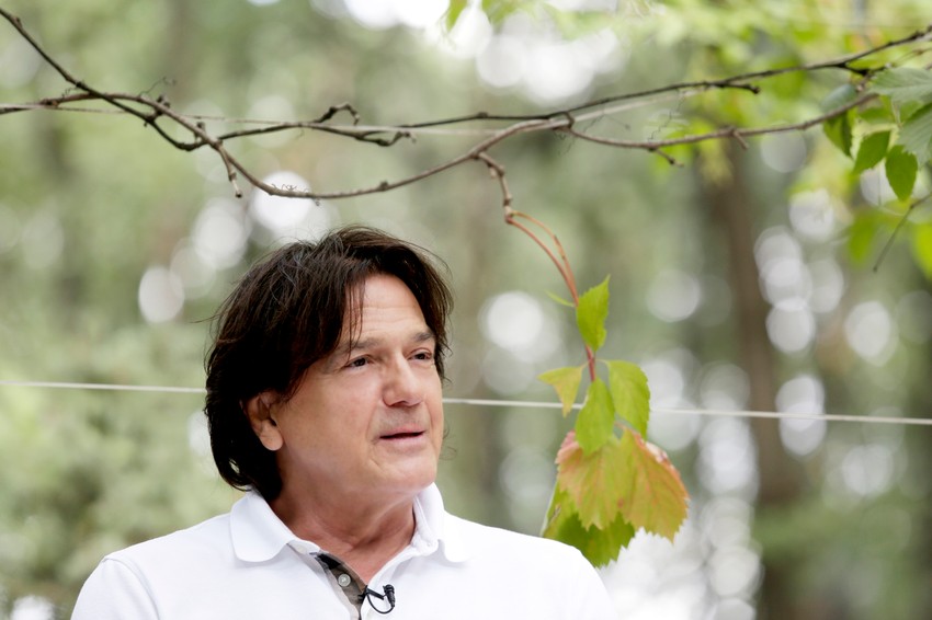 Zdravko Čolić