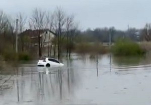 Voda nosila auto i vozača