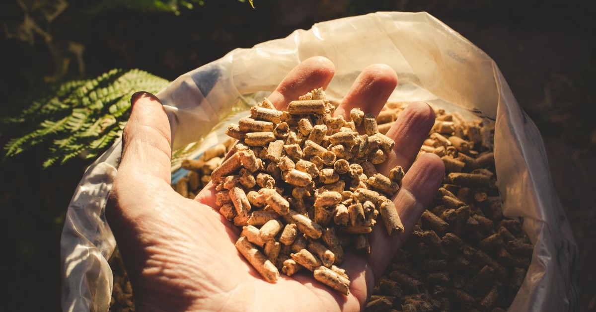 Ile kosztuje pellet w lipcu 2025? Aktualne ceny pelletu