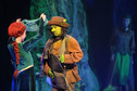 Teatralno-muzyczna inscenizacja animacji "Shrek"
