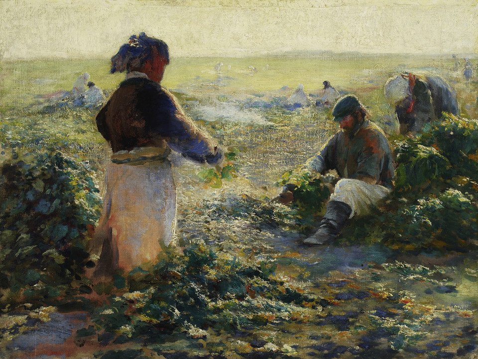 Leon Wyczółkowski, "Kopanie buraków II"