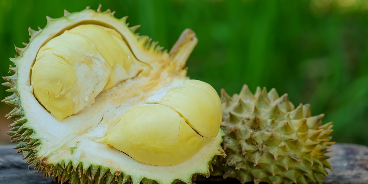 Durian ma twardą i kolczastą skorupę oraz miękki środek.