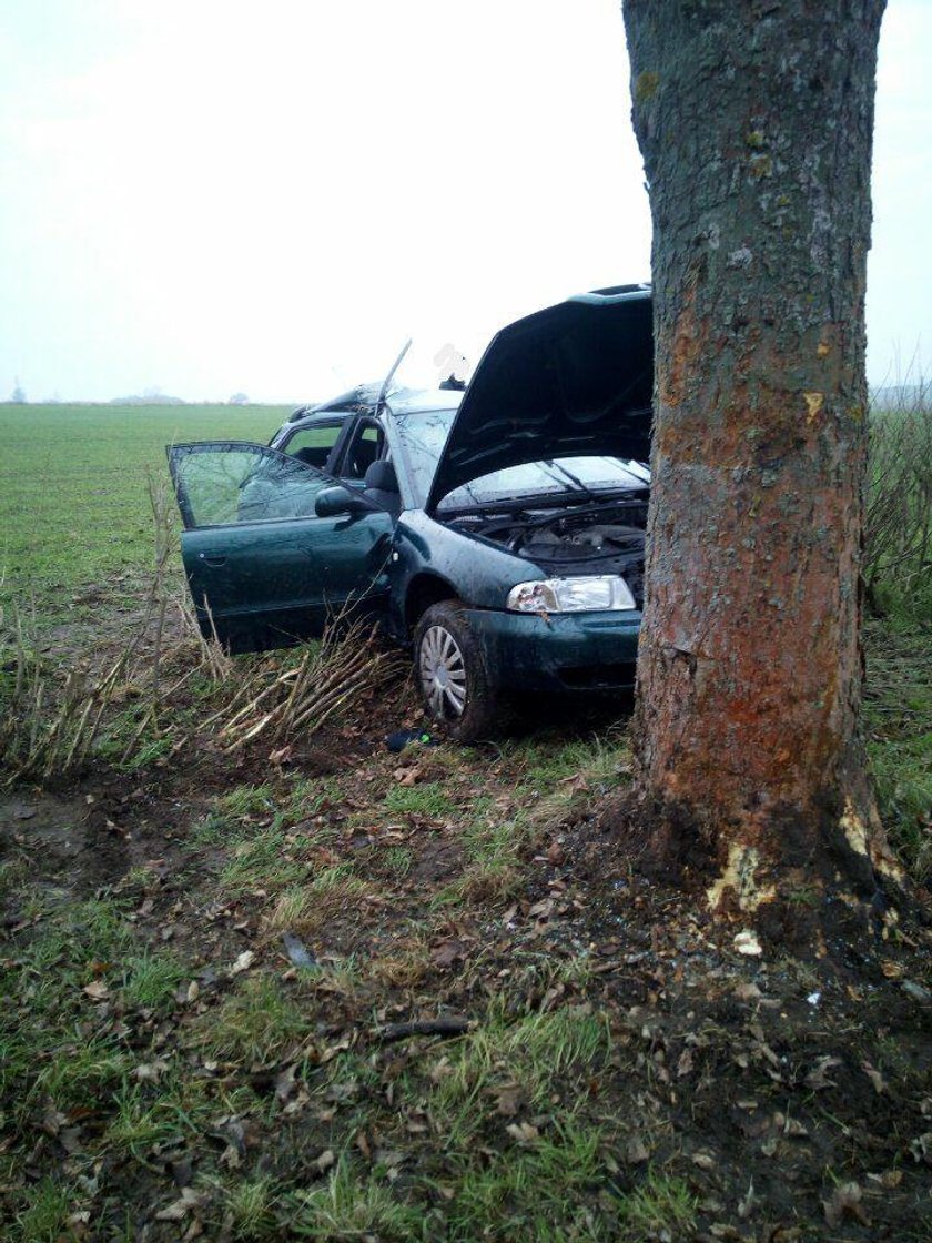 Audi uderzyło w drzewo. Kierowca walczy o życie, jego pies zginął