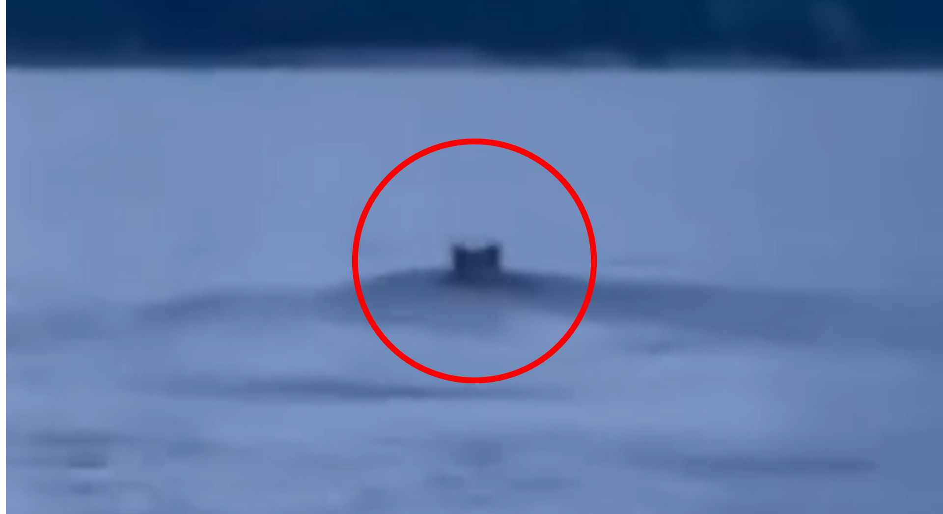Mnohí si myslia, že išlo o diviaka.