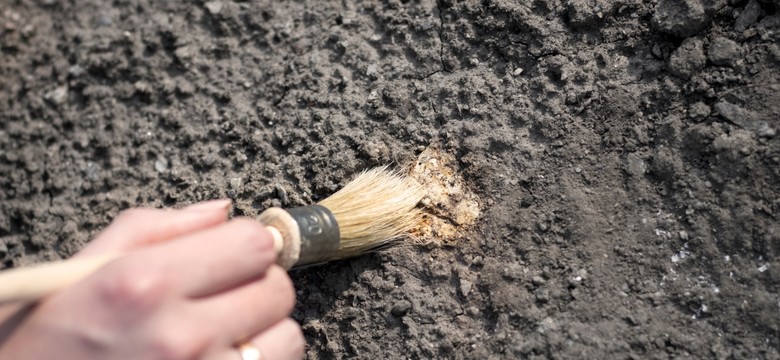 Sensacja archeologiczna pod Pomiechówkiem. Odkryto skarb z XVII wieku wart setki tysięcy