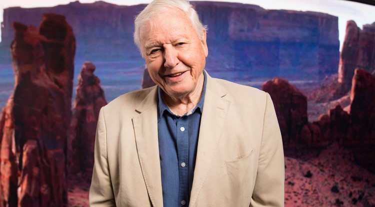 Sir David Attenborough