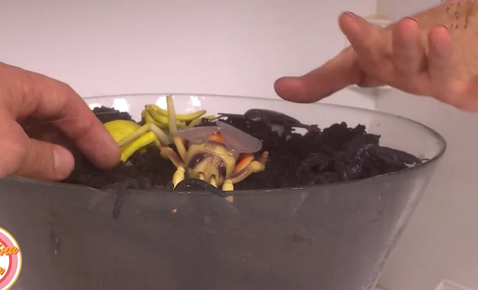 Dušan Svilar u emisiji "Praktična žena"