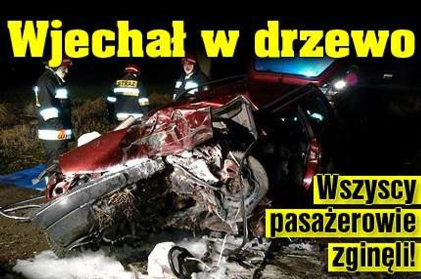 Wjechał w drzewo. Wszyscy pasażerowie zginęli!