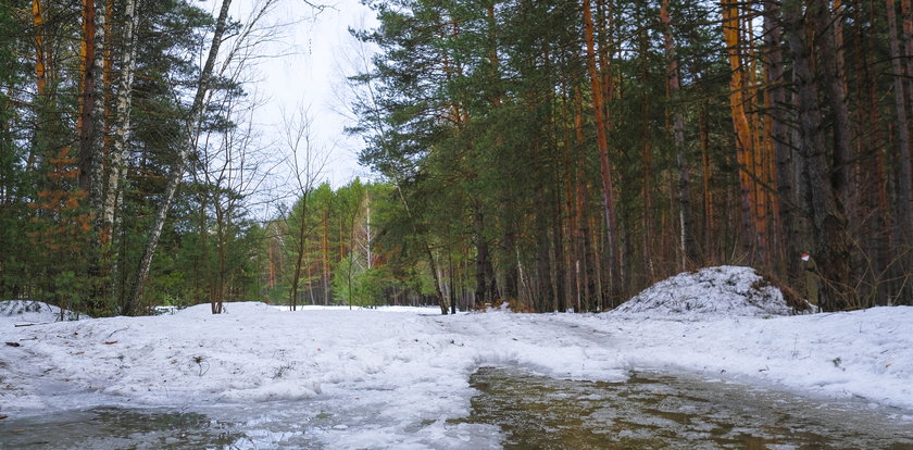 Prognoza pogody na marzec. To będzie wyjątkowo ciepły koniec zimy