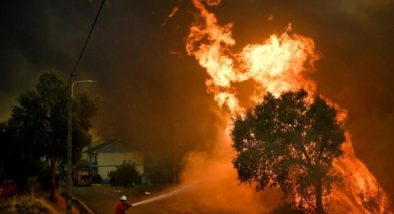 A firefighter tackles a blaze close to the village of Pucarica in Abrantes, Portugal