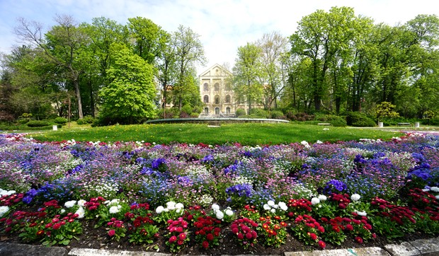 Aranđelovac 
