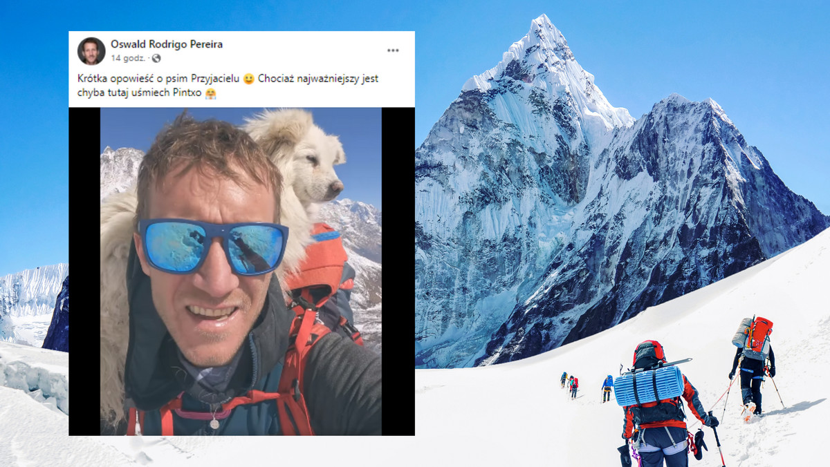 Polacy uratowali psa w drodze na Everest. Zrobił bezcenną minę [WIDEO]