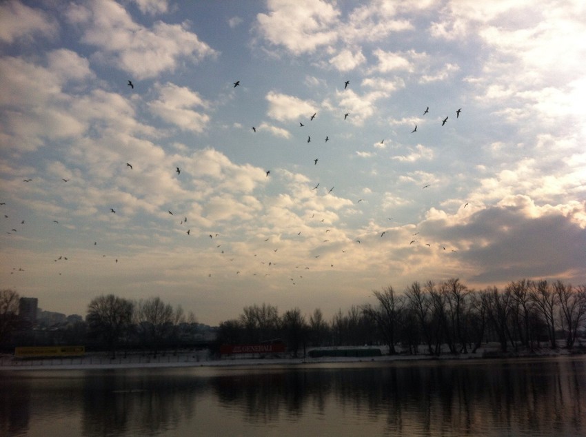 Ada Ciganlija je mnogima omiljeno mesto za odmor