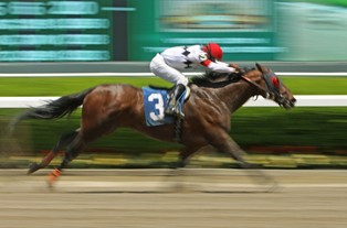 Wyścigi konne - wygrać możesz, przegrać musisz