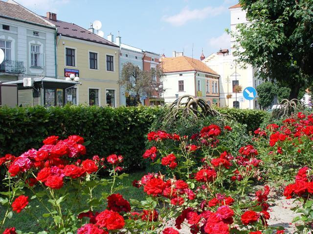 Galeria Polska - Królewskie Miasto Leżajsk, obrazek 16