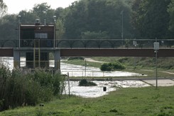 Lasy zniszczone przez powódź. 'Odradzamy wstęp ze względów bezpieczeństwa'