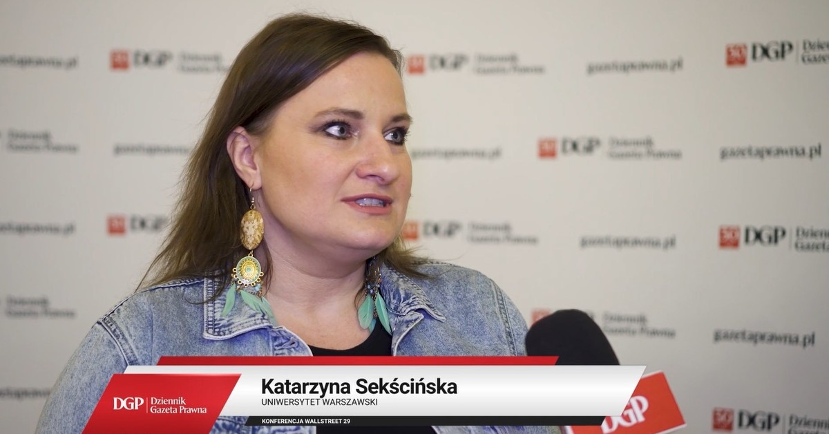 profesor-katarzyna-sek-ci-ska-inwestorzy-gie-dowi-postrzegaj-siebie