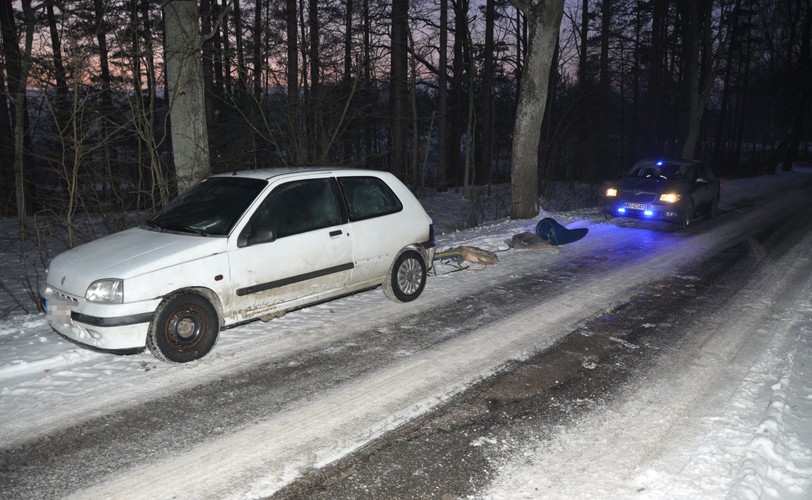 Policja na miejscu wypadku