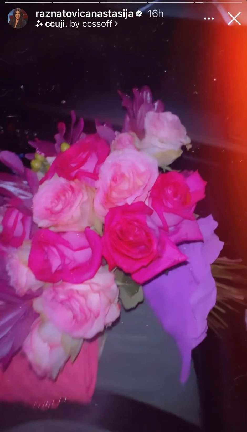 Anastasija Ražnatović i Nemanja Gudelj - veridba