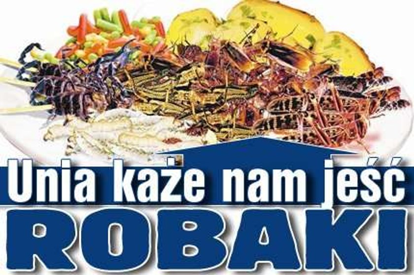 Unia każe nam jeść robaki!