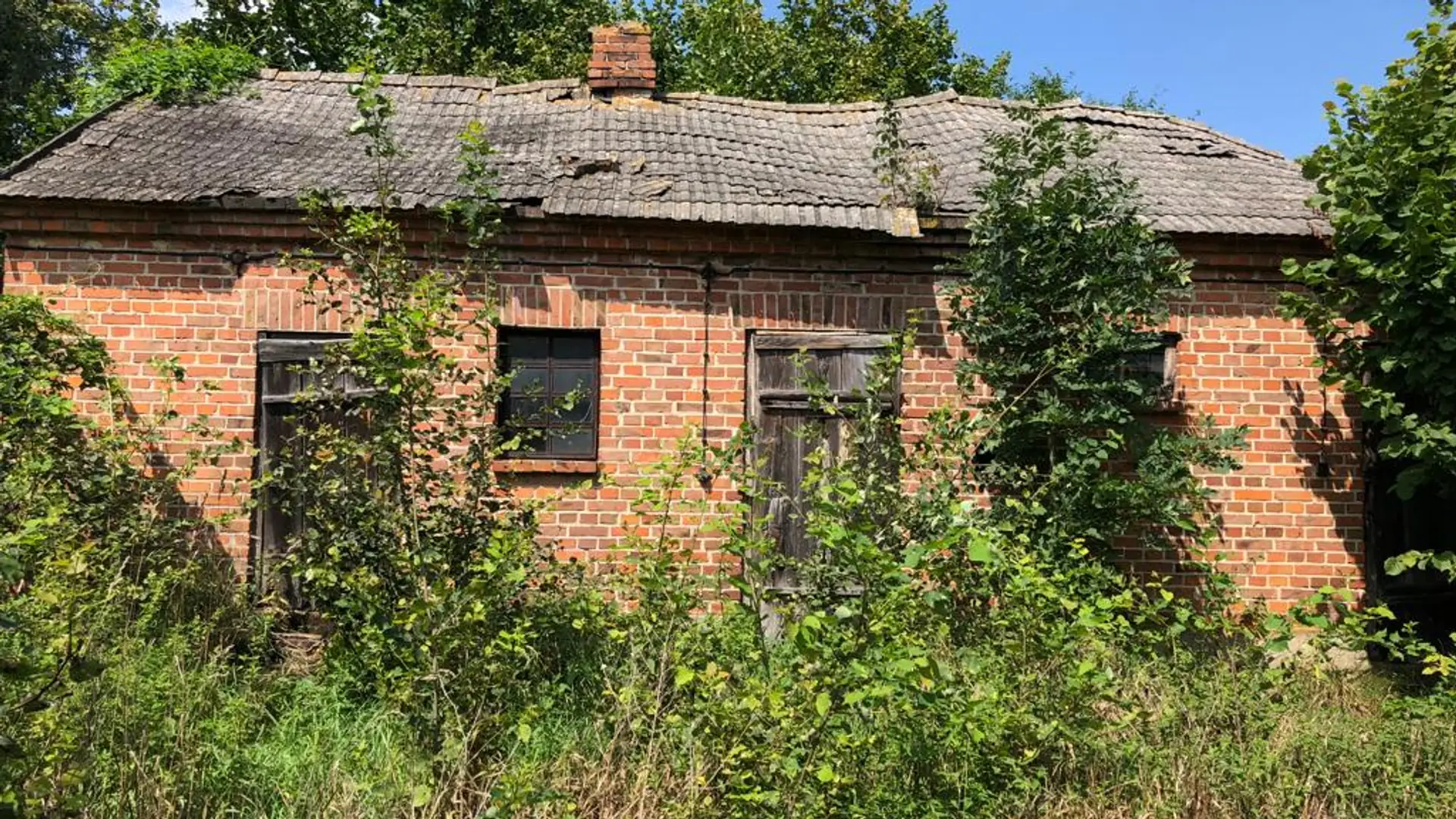 Polscy ruinersi robią dom z obory. "Nie wyczuwamy zapachów"