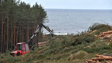 Wydobycie bursztynu na Mierzei Wiślanej? Przygotowywane są dokumenty