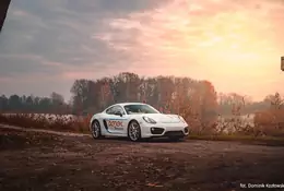 Porsche w wynajmie na minuty rozbite po zaledwie 12 godzinach