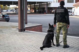 Zatrudnił do pracy Ukrainki. Teraz będzie płacił grzywnę 8 tys. zł