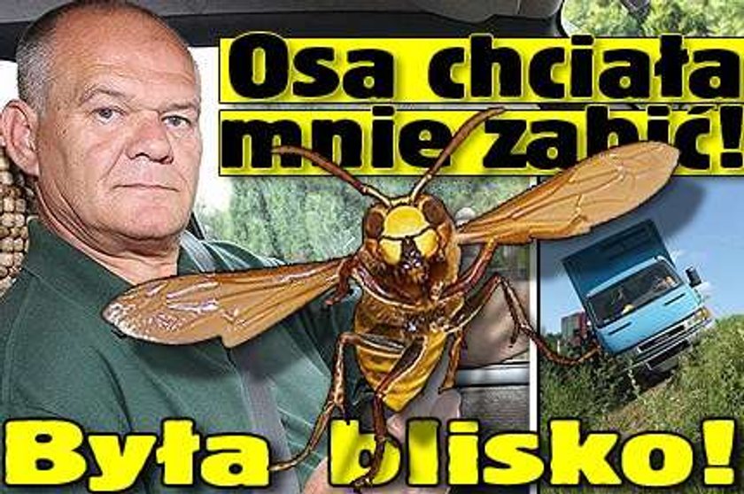 Osa chciała mnie zabić! Była blisko!