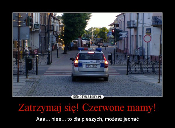 Galeria najlepszych MEMów minionego tygodnia