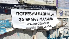 Užice malina berači oglas 