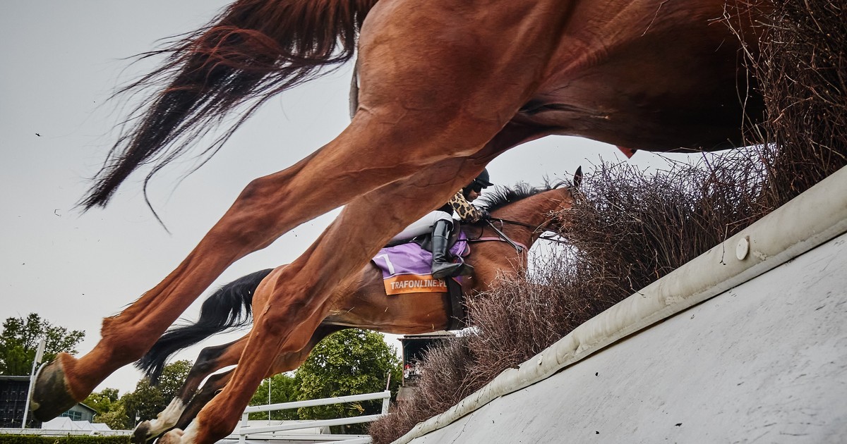 Wracają wyścigi, ale też zwiedzanie stajni. I nie ma bata!