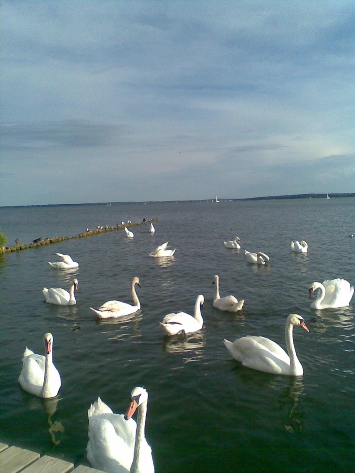 Jezioro Niegocin, Giżycko