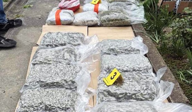 Zaplenjena marihuana u Kikindi