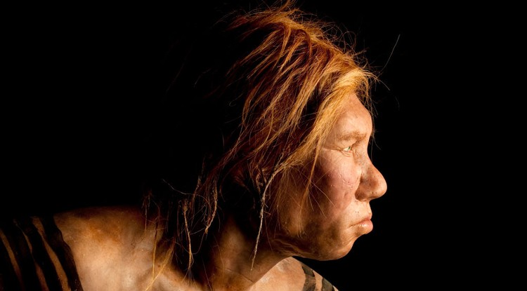 Neandervölgyi ember