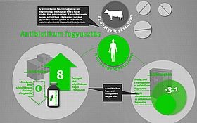 antibiosz-grafika-d00001931edba7de10699