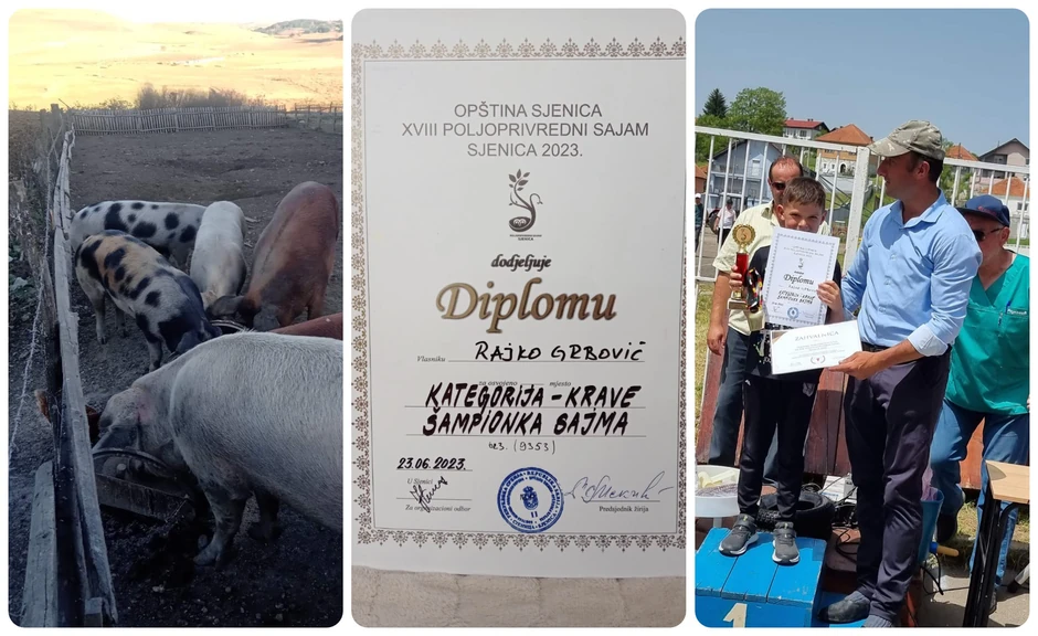 Rajkova krava bila je šampionka ovogodišnjeg sajma u Sjenici