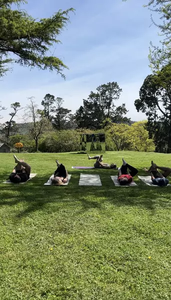 Lekcja jogi w parku rzeźb