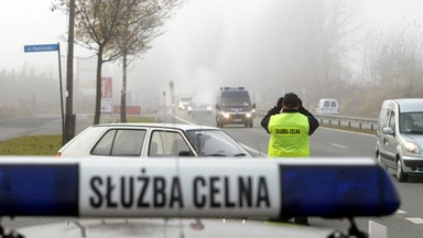 Próba przemytu spreparowanego okazu chronionego tukana