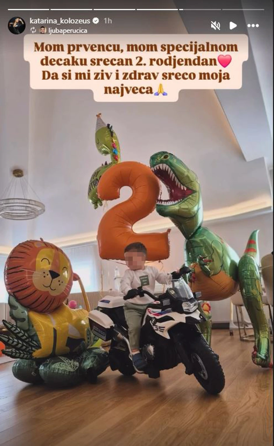 sin ljube perućice i katarine kolozeus