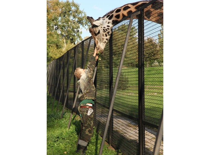 Woli i Tysio na pokładzie