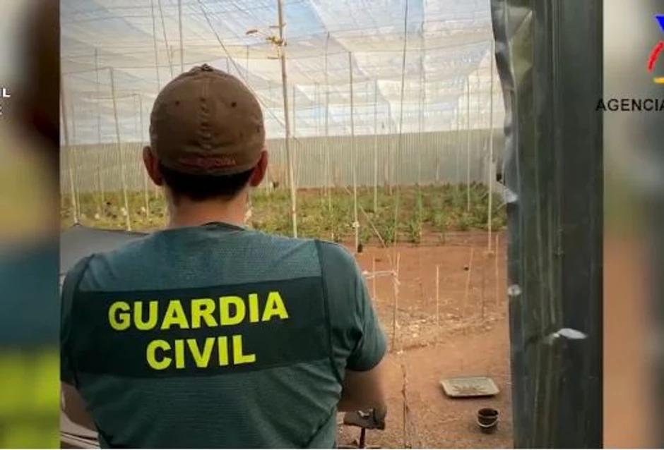 Hapšenje Srbina koji je navodni vođa "Pink Pantera" i član "Anđela pakla"