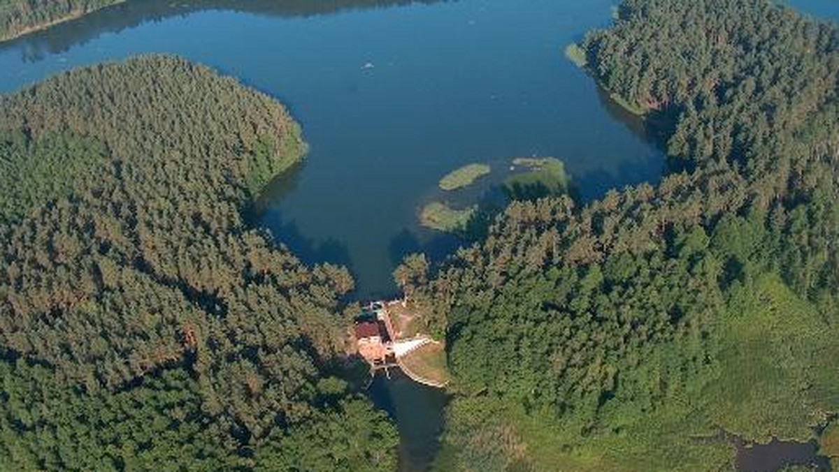 W nadleśnictwie Spychowo na Mazurach powstał szlak turystyczny prezentujący fortyfikacje z czasów II wojny światowej, które są pozostałością po tzw. Szczycieńskiej Pozycji Leśnej. Poniemieckie bunkry można zwiedzać od początku lipca.