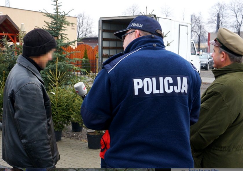 Policja i straż leśna pilnuje choinek