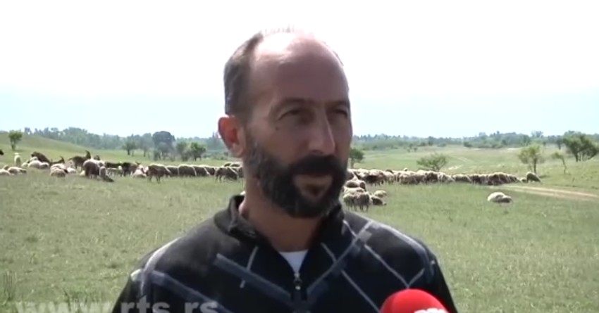 Branislav Dmitrović