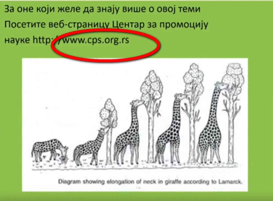 Sporni sajt u onlajn lekciji