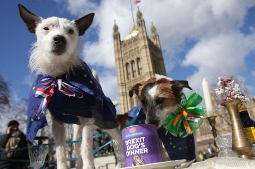 protest przeciwko brexitowi