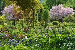 Tworzenie ogródów jako pomysł na biznes. Gra w zielone powinna się opłacić